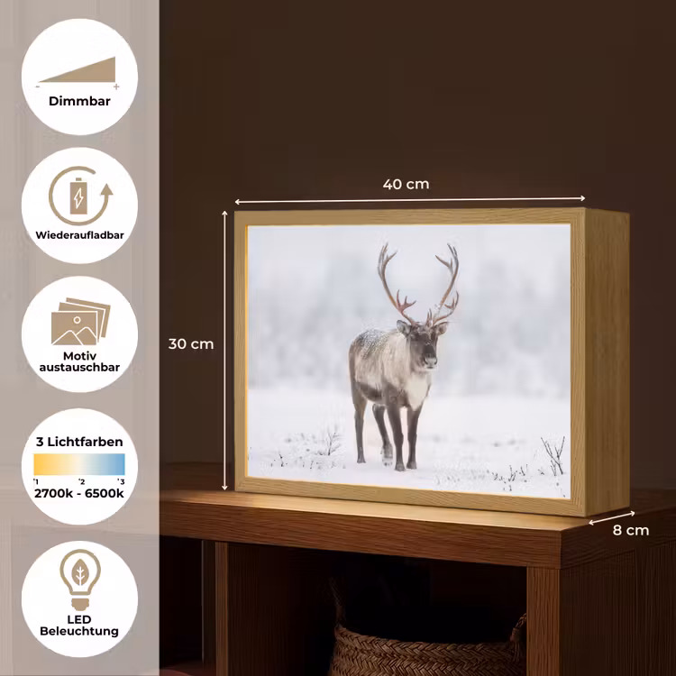 Rendier - Gewei - Toendra - Sneeuw - Wild Light Box met batterij (Wandlamp) middel -USP_websiteoverzichtDE