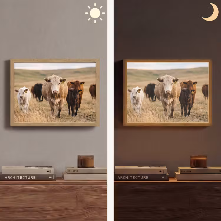 Runderen - Kudde - Landschap - Weide - Rustig Light Box met batterij (Wandlamp) middel -sfeer3