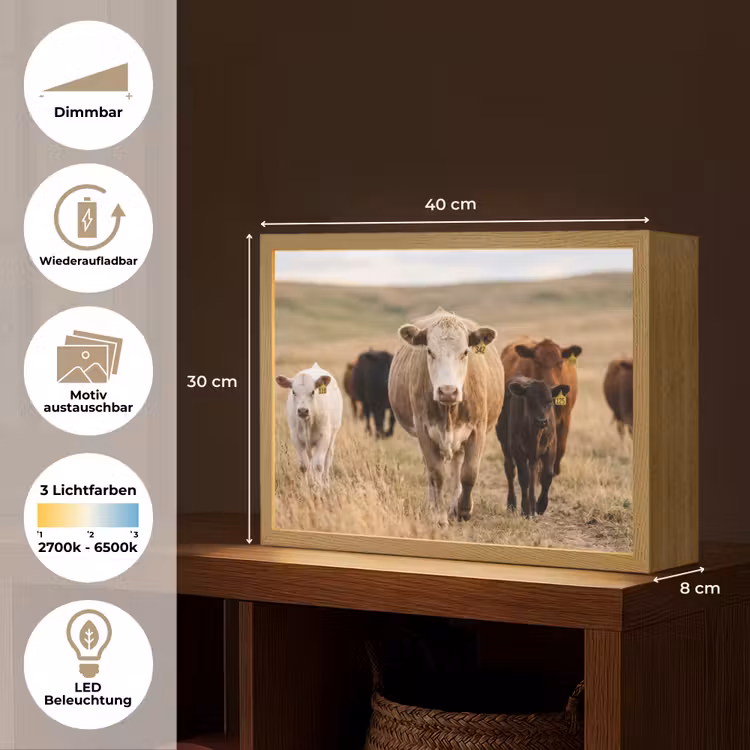 Runderen - Kudde - Landschap - Weide - Rustig Light Box met batterij (Wandlamp) middel -USP_websiteoverzichtDE