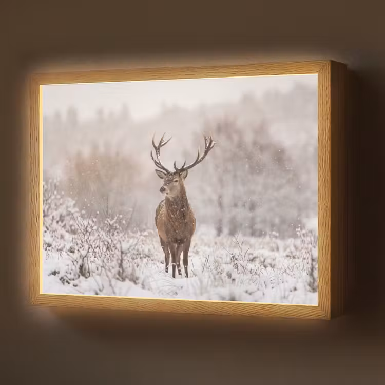 Edelhert - Bos - Sneeuw - Winter - Majestueus Light Box met batterij (Wandlamp) middel -z3d_website