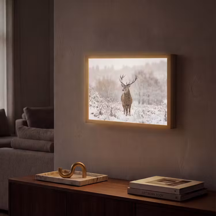 Edelhert - Bos - Sneeuw - Winter - Majestueus Light Box met batterij (Wandlamp) middel -sfeer1