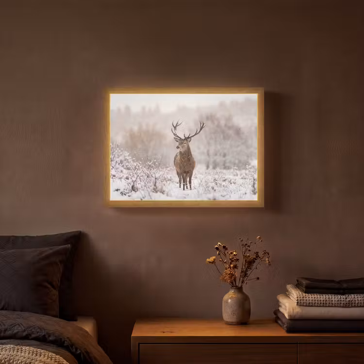 Edelhert - Bos - Sneeuw - Winter - Majestueus Light Box met batterij (Wandlamp) middel -sfeer4