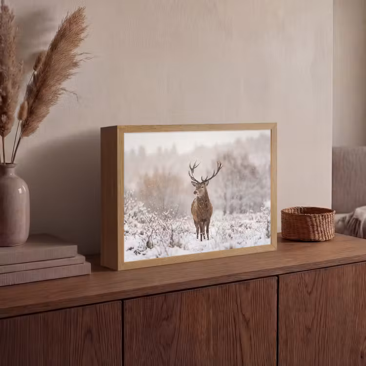 Edelhert - Bos - Sneeuw - Winter - Majestueus Light Box met batterij (Wandlamp) middel -sfeer2