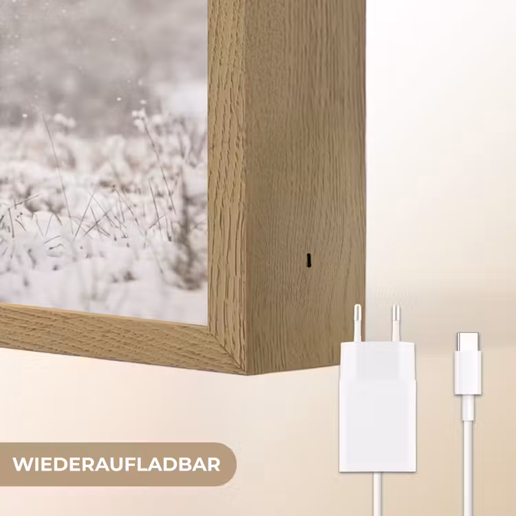 Edelhert - Bos - Sneeuw - Winter - Majestueus Light Box met batterij (Wandlamp) middel -USP_websiteoplaadbaarDE