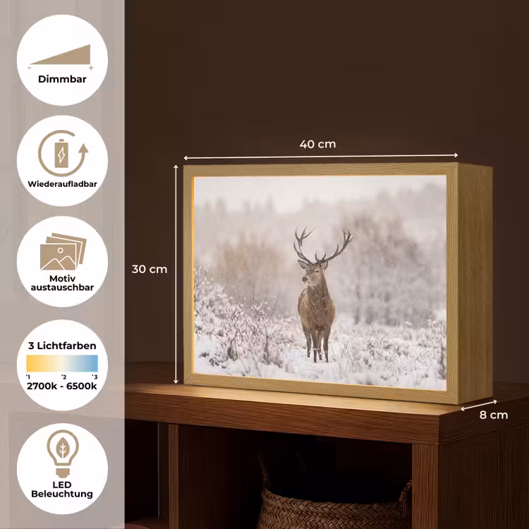 Edelhert - Bos - Sneeuw - Winter - Majestueus Light Box met batterij (Wandlamp) middel -USP_websiteoverzichtDE
