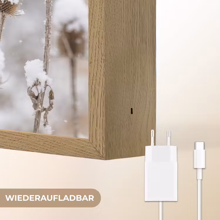 Roodborstje - Gedroogde bloem - Sneeuw - Winter - Vertederend Light Box met batterij (Wandlamp) middel -USP_websiteoplaadbaarDE