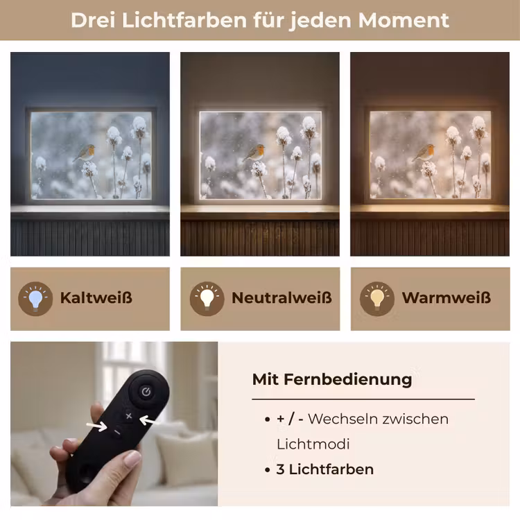 Roodborstje - Gedroogde bloem - Sneeuw - Winter - Vertederend Light Box met batterij (Wandlamp) middel -USP_lichtkleurDE