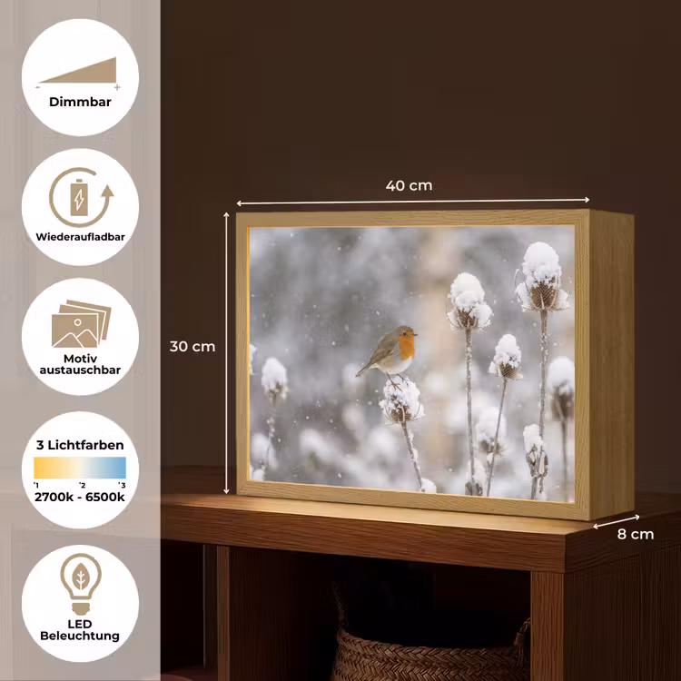 Roodborstje - Gedroogde bloem - Sneeuw - Winter - Vertederend Light Box met batterij (Wandlamp) middel -USP_websiteoverzichtDE