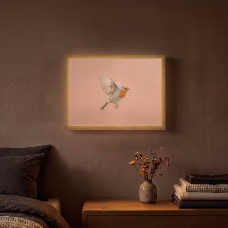 Roodborst - Natuur - Roze Light Box met batterij (Wandlamp) middel -sfeer4