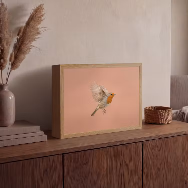 Roodborst - Natuur - Roze Light Box met batterij (Wandlamp) middel -sfeer2