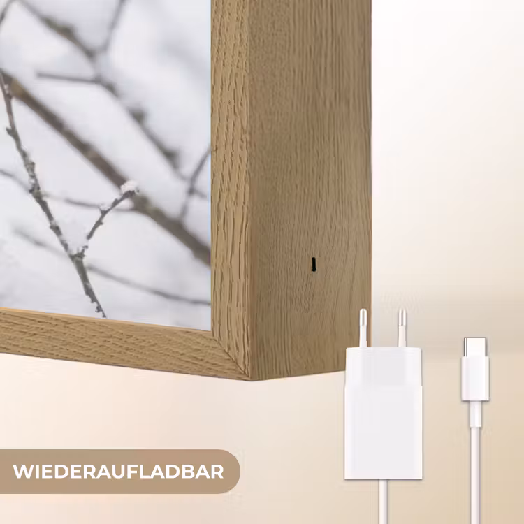 Roodborstje - Tak - Sneeuw - Winter - Levendig Light Box met batterij (Wandlamp) middel -USP_websiteoplaadbaarDE