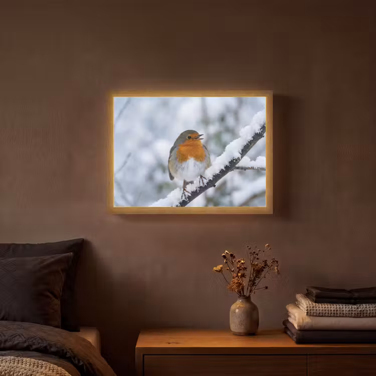 Roodborstje - Tak - Sneeuw - Winter - Levendig Light Box met batterij (Wandlamp) middel -sfeer4