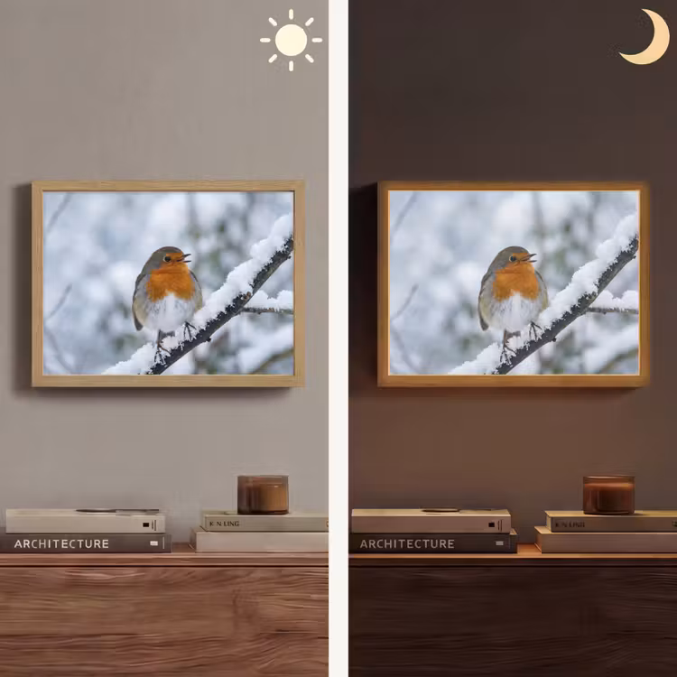 Roodborstje - Tak - Sneeuw - Winter - Levendig Light Box met batterij (Wandlamp) middel -sfeer3