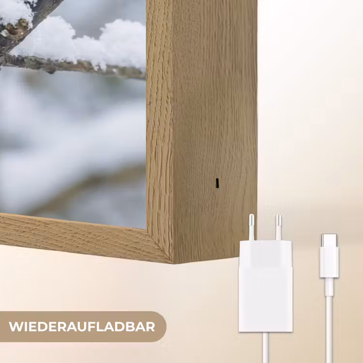Roodborstje - Tak - Sneeuw - Winter - Levendig Light Box met batterij (Wandlamp) middel -USP_websiteoplaadbaarDE