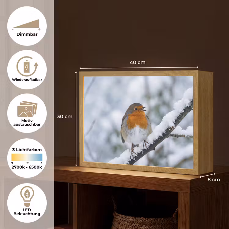 Roodborstje - Tak - Sneeuw - Winter - Levendig Light Box met batterij (Wandlamp) middel -USP_websiteoverzichtDE