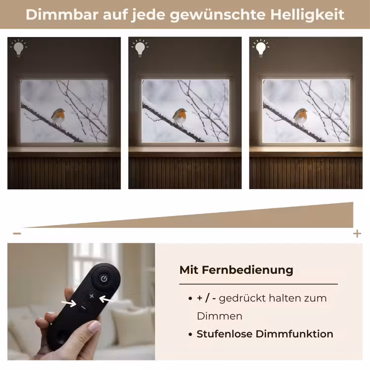 Roodborstje - Tak - Sneeuw - Winter - Levendig Light Box met batterij (Wandlamp) middel -USP_dimbaarDE