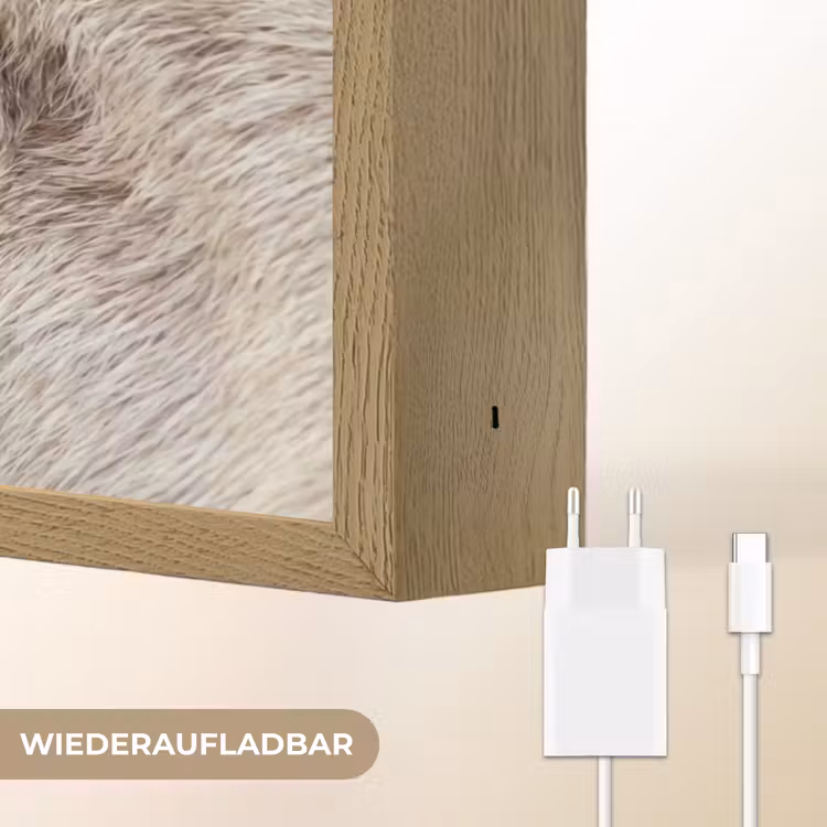 Schaap - Oog - Wit Light Box met batterij (Wandlamp) middel -USP_websiteoplaadbaarDE