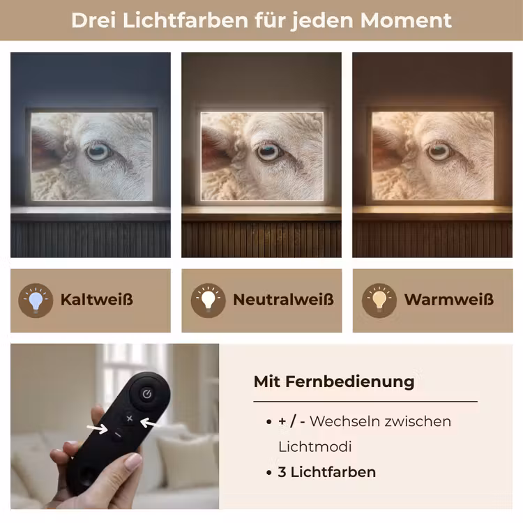 Schaap - Oog - Wit Light Box met batterij (Wandlamp) middel -USP_lichtkleurDE