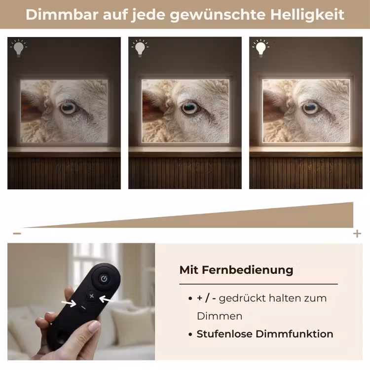 Schaap - Oog - Wit Light Box met batterij (Wandlamp) middel -USP_dimbaarDE