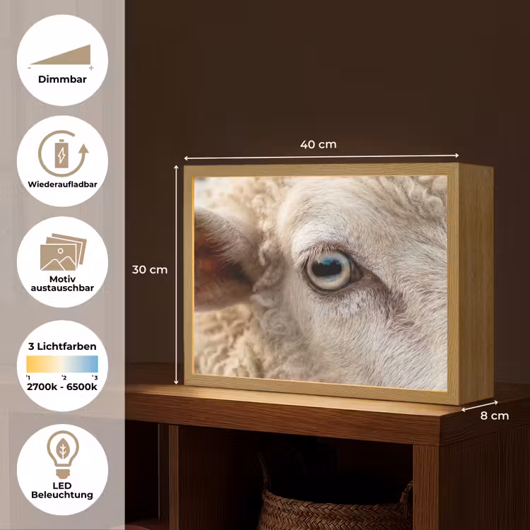 Schaap - Oog - Wit Light Box met batterij (Wandlamp) middel -USP_websiteoverzichtDE