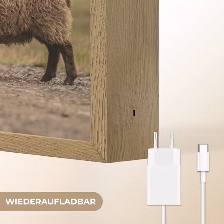 Schapen - Bruin - Wit - Grindpad Light Box met batterij (Wandlamp) middel -USP_websiteoplaadbaarDE