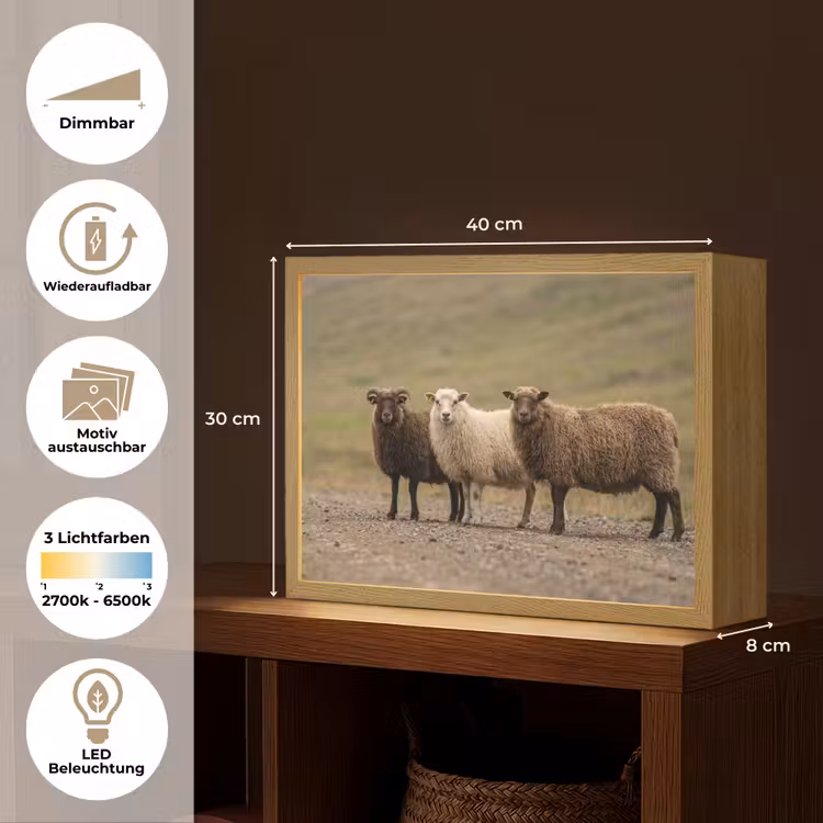Schapen - Bruin - Wit - Grindpad Light Box met batterij (Wandlamp) middel -USP_websiteoverzichtDE