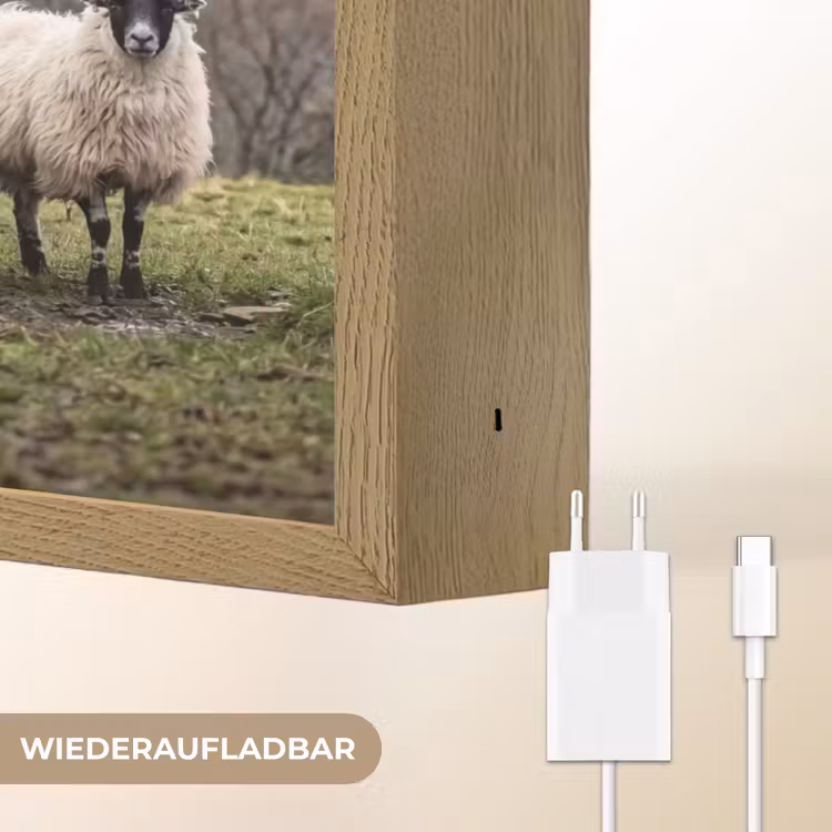 Schapen - Rij - Weide - Dieren - Platteland Light Box met batterij (Wandlamp) middel -USP_websiteoplaadbaarDE