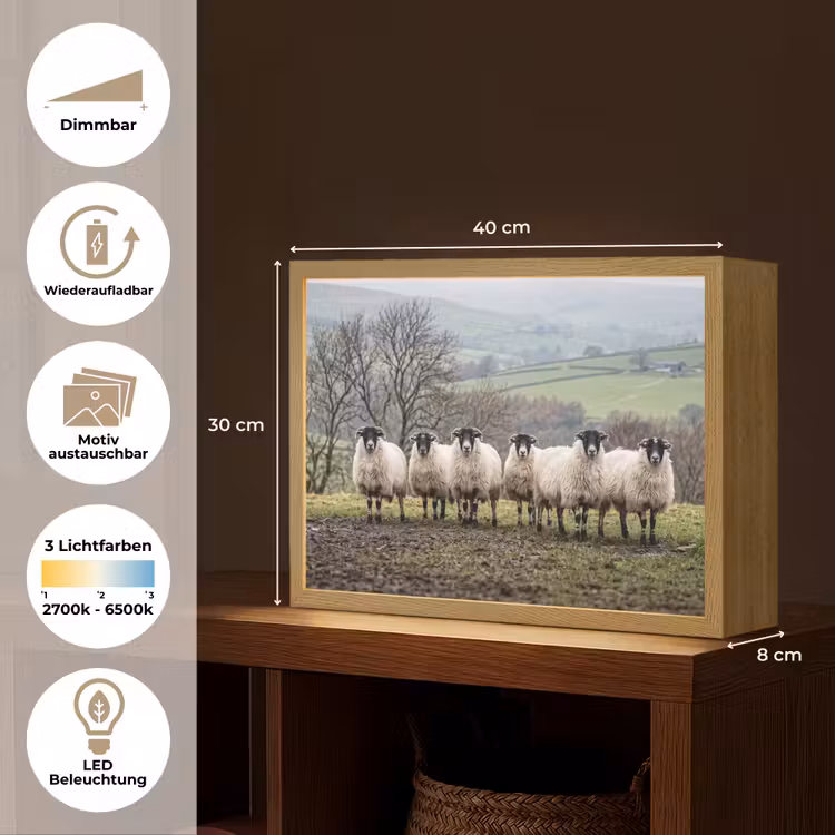 Schapen - Rij - Weide - Dieren - Platteland Light Box met batterij (Wandlamp) middel -USP_websiteoverzichtDE