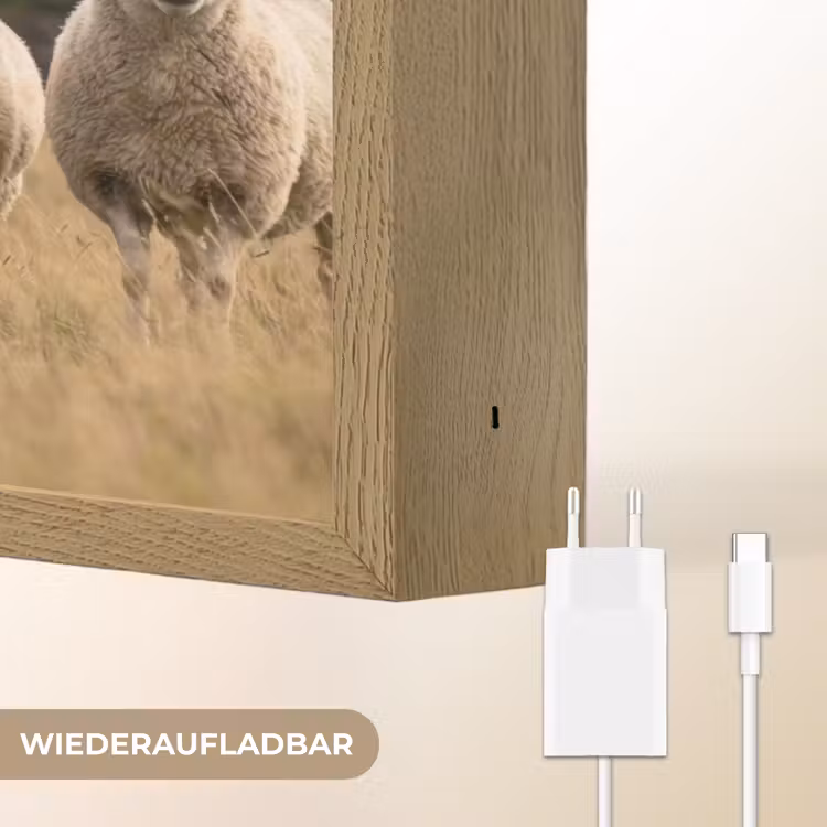 Schapen - Weidenlandschap - Heuvels Light Box met batterij (Wandlamp) middel -USP_websiteoplaadbaarDE