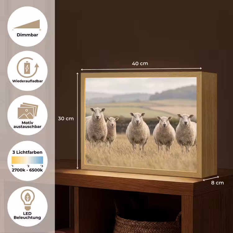 Schapen - Weidenlandschap - Heuvels Light Box met batterij (Wandlamp) middel -USP_websiteoverzichtDE