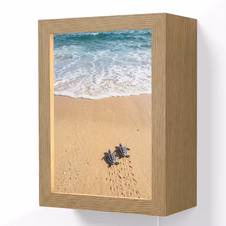 Schildpad - Jong - Strand - Oceaan - Blauw Light Box met kabel (Wandlamp) klein -3d
