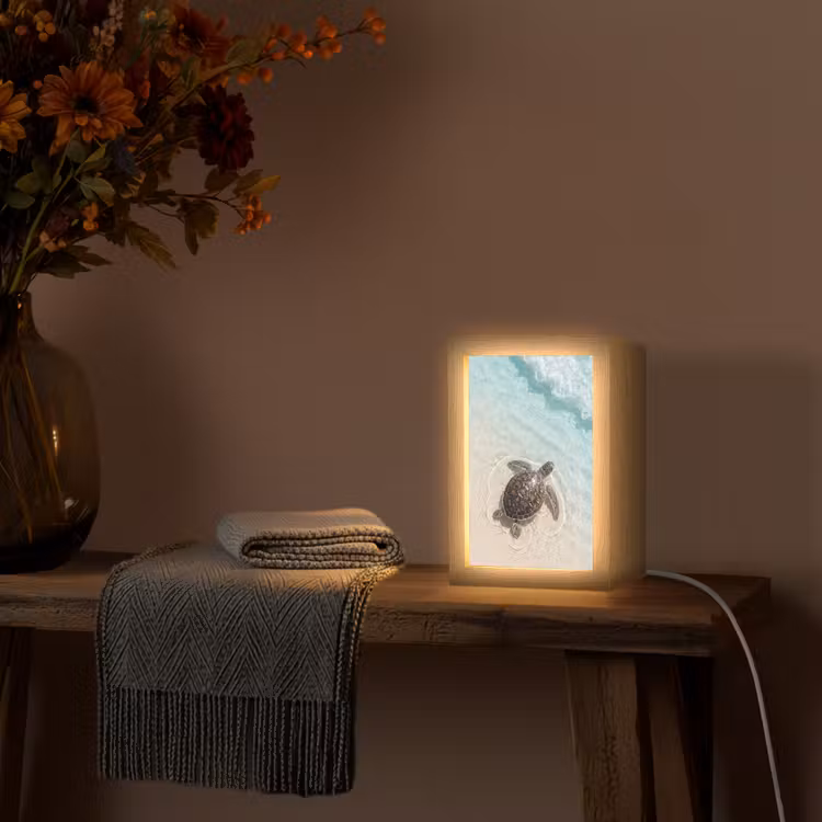Schildpad - Helder water - Strand - Dieren - Natuur Light Box met kabel (Wandlamp) klein -sfeer4