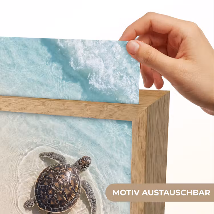 Schildpad - Helder water - Strand - Dieren - Natuur Light Box met kabel (Wandlamp) klein -USP_websiteprintDE