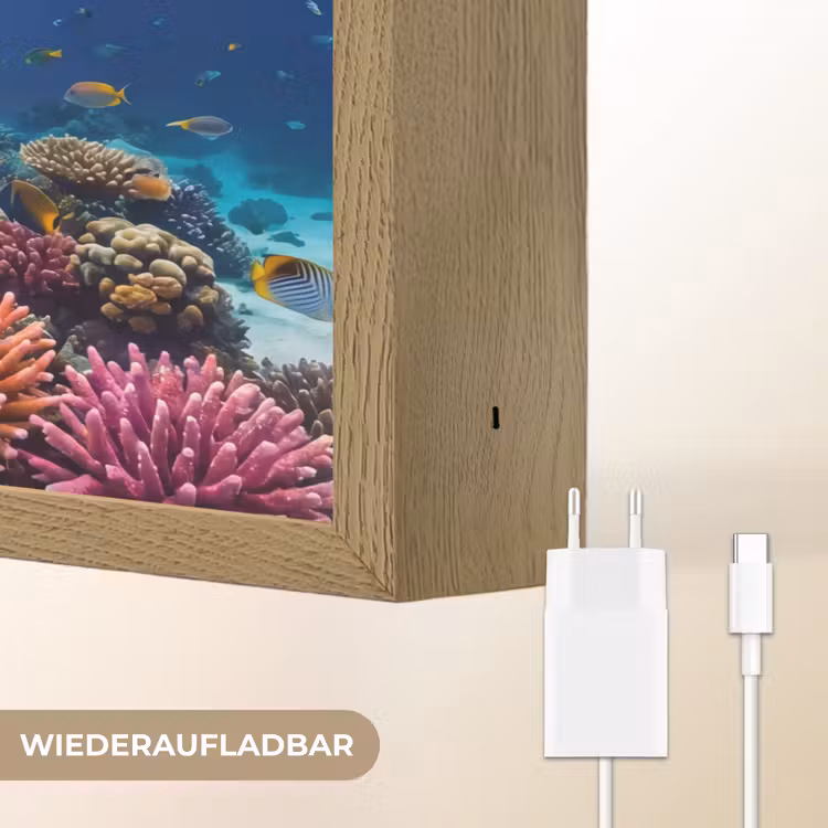 Schildpad - Koraalrif - Oceaan - Dieren - Blauw Light Box met batterij (Wandlamp) middel -USP_websiteoplaadbaarDE