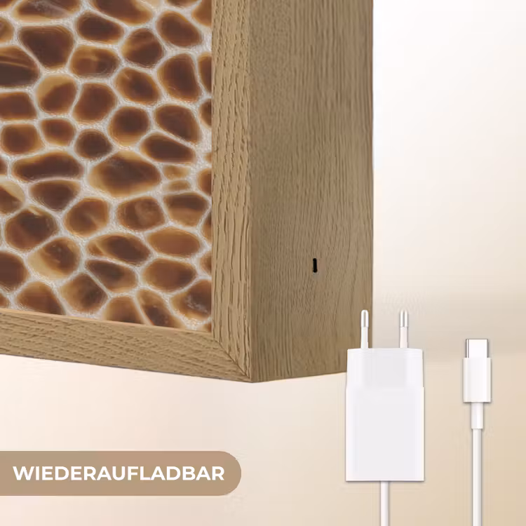 Schildpad - Patroon - Bruin Light Box met batterij (Wandlamp) middel 907 -USP_websiteoplaadbaarDE