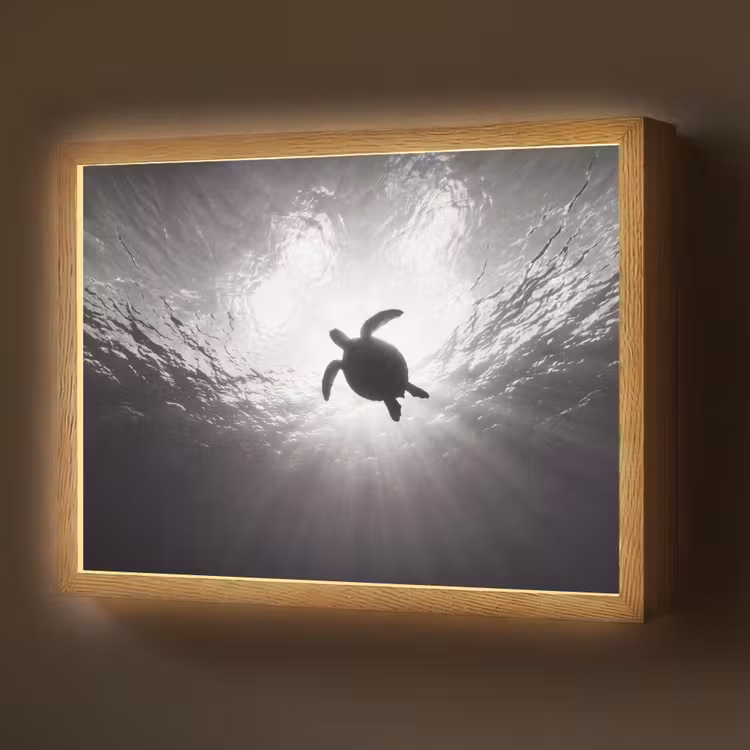 Schildpad - Onderwater - Lichtstralen - Oceaan - Zwart-wit Light Box met batterij (Wandlamp) middel -z3d_website