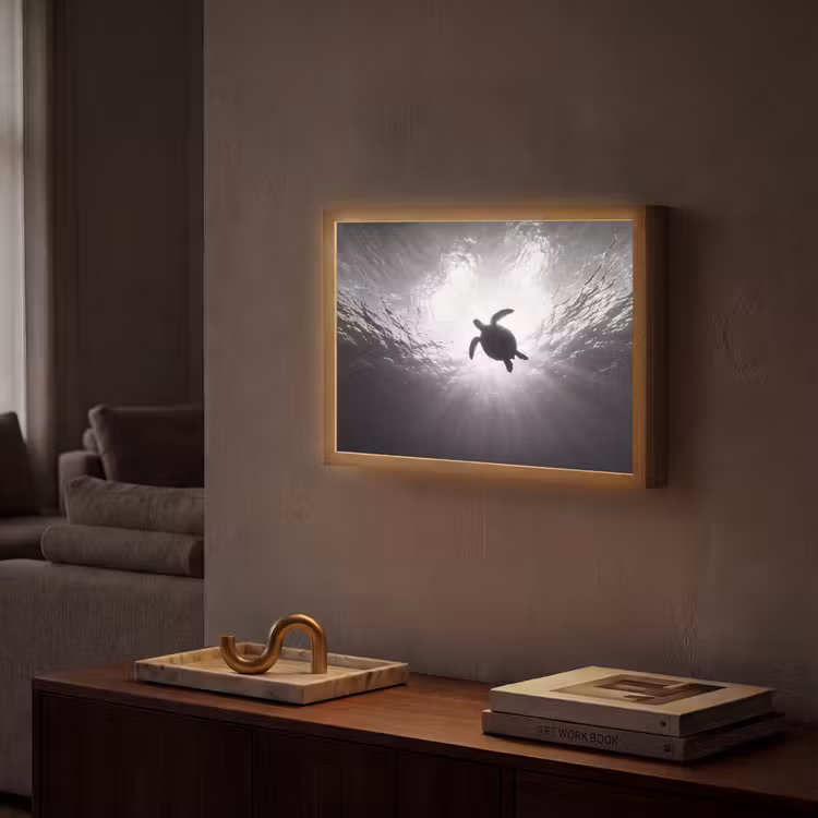 Schildpad - Onderwater - Lichtstralen - Oceaan - Zwart-wit Light Box met batterij (Wandlamp) middel -sfeer1