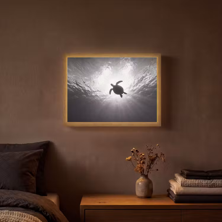 Schildpad - Onderwater - Lichtstralen - Oceaan - Zwart-wit Light Box met batterij (Wandlamp) middel -sfeer4