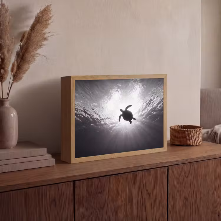 Schildpad - Onderwater - Lichtstralen - Oceaan - Zwart-wit Light Box met batterij (Wandlamp) middel -sfeer2