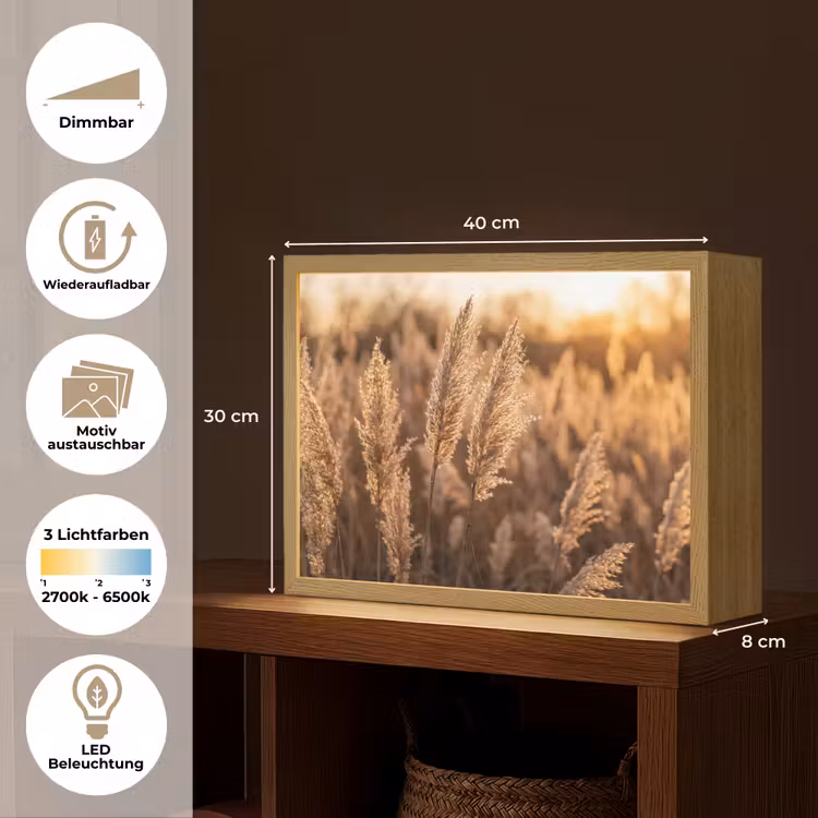 Rietpluimen - Gras - Zonsondergang - Goud - Serene Light Box met batterij (Wandlamp) middel -USP_websiteoverzichtDE