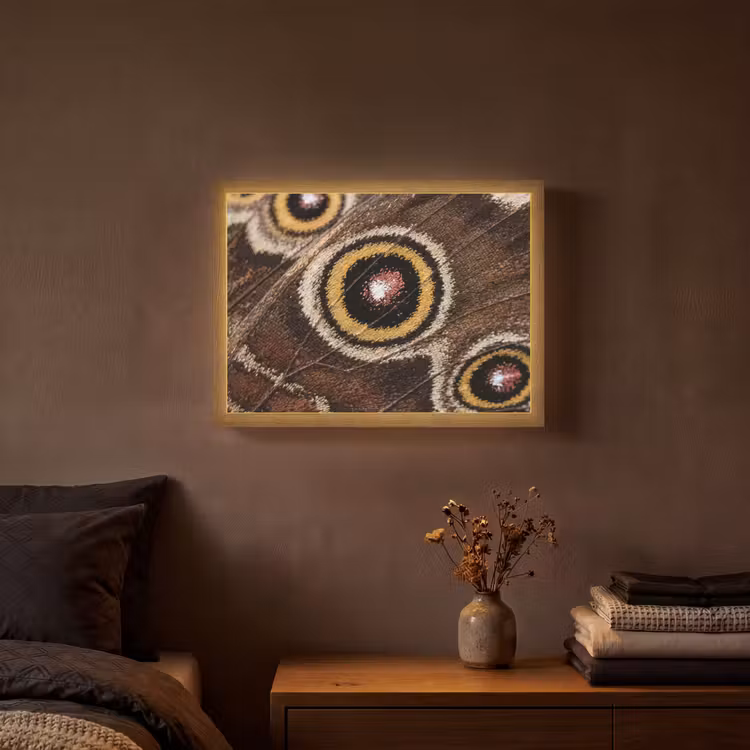 Vlinder - Vleugel - Abstract Light Box met batterij (Wandlamp) middel -sfeer4