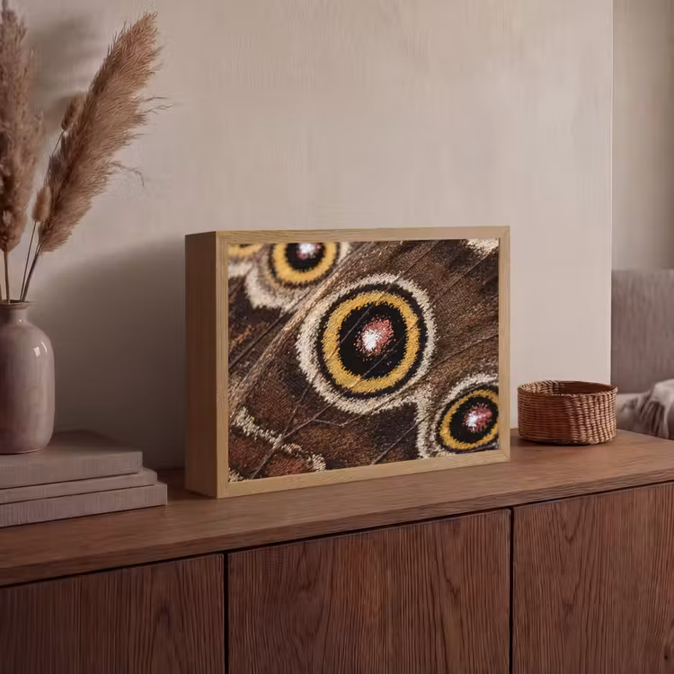 Vlinder - Vleugel - Abstract Light Box met batterij (Wandlamp) middel -sfeer2