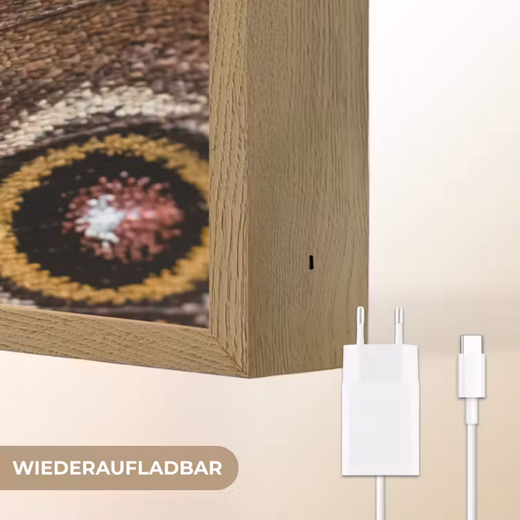 Vlinder - Vleugel - Abstract Light Box met batterij (Wandlamp) middel -USP_websiteoplaadbaarDE