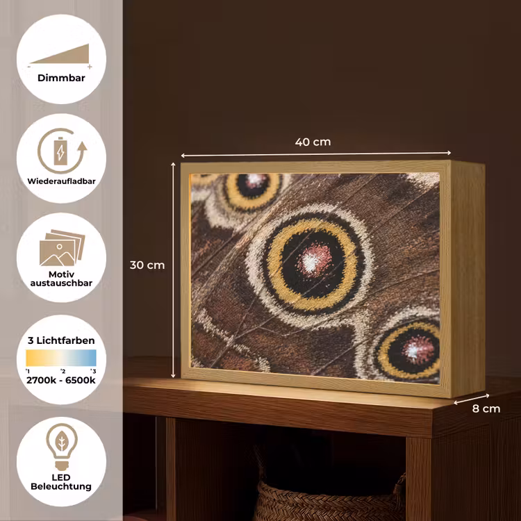 Vlinder - Vleugel - Abstract Light Box met batterij (Wandlamp) middel -USP_websiteoverzichtDE