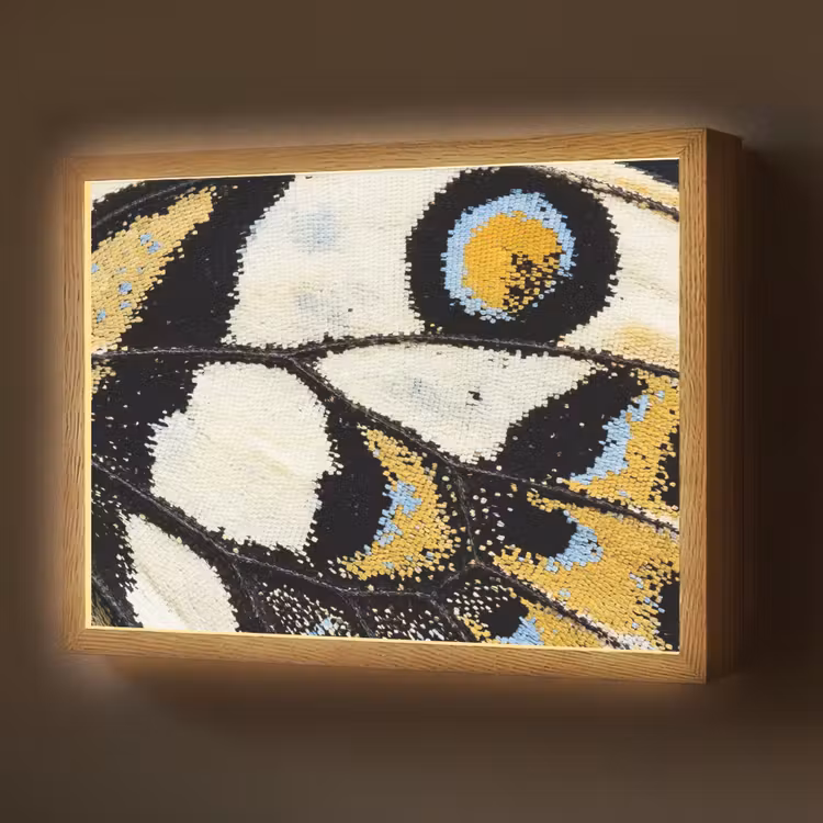 Vlinder - Vleugel - Geel Light Box met batterij (Wandlamp) middel -z3d_website