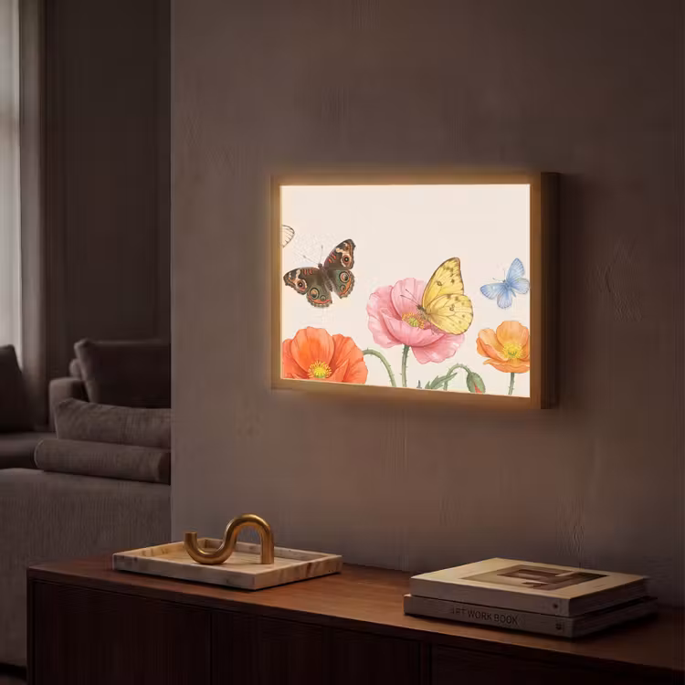 Vlinders - Klaprozen - Illustratie - Kleurrijk Light Box met batterij (Wandlamp) middel -sfeer1