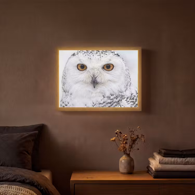 Sneeuwuil - Oog - Wildlife - Wit Light Box met batterij (Wandlamp) middel -sfeer4