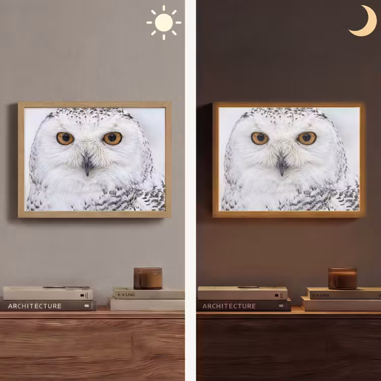 Sneeuwuil - Oog - Wildlife - Wit Light Box met batterij (Wandlamp) middel -sfeer3