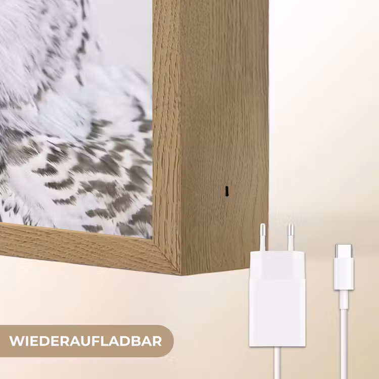 Sneeuwuil - Oog - Wildlife - Wit Light Box met batterij (Wandlamp) middel -USP_websiteoplaadbaarDE