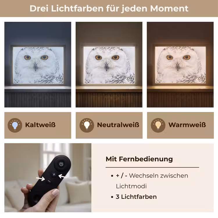 Sneeuwuil - Oog - Wildlife - Wit Light Box met batterij (Wandlamp) middel -USP_lichtkleurDE